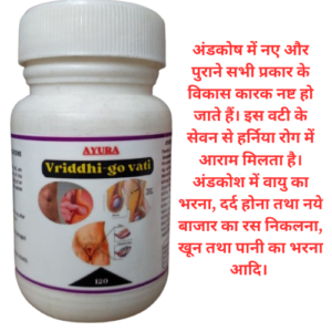 Vriddhi go vati 120 Tablets